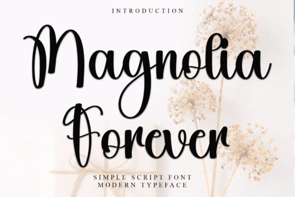 Magnolia Forever: A Font That Elevates Creativity Across Design and Beyond